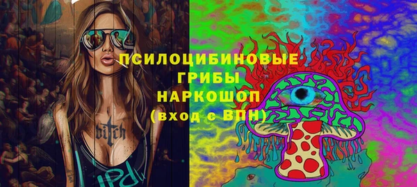 хмурый Богородск