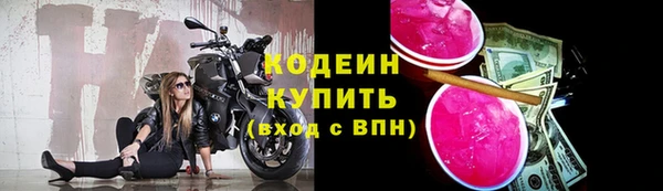 хмурый Богородск