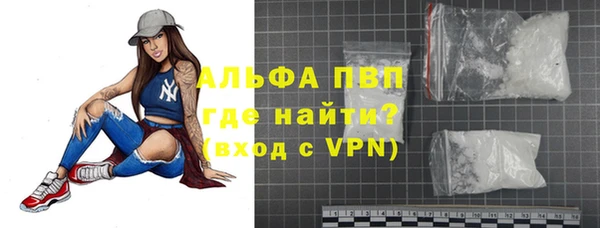 прущие грибы Осташков