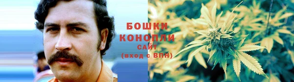дурь Коряжма
