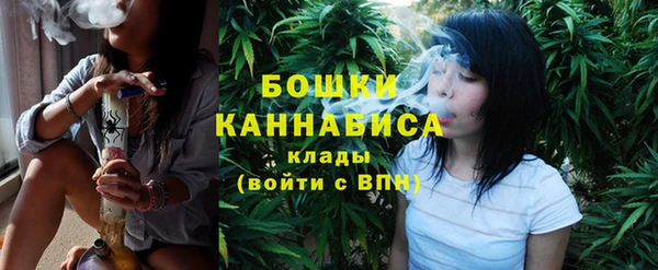 хмурый Богородск